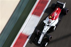 TNCR_sauber-f1-31127508.jpg