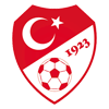 كأس الملياردير التركي
