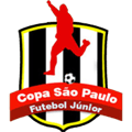 كأس الشباب البرازيلي