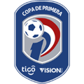 Paraguayan Primera Division