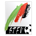 الدوري النمساوي تحت 18 سنة