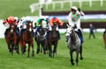 Cheltenham Festival 2026 | New Schedule & Updated Racecards