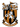 https://www.imageservera.com/cdn-cgi/image/format=webp/uploadedimages/202508/Aug13/dn1m1gh4p4emoep.png