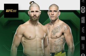 How To Watch UFC 295: Prochazka vs Pereira Live Stream