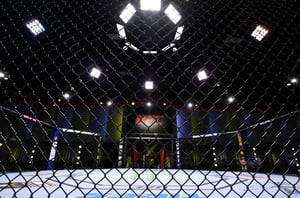 How To Watch UFC Fight Night: Cannonier vs Borralho Live Stream