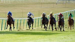 2026 Joel Stakes Live Stream - Watch the Newmarket race online