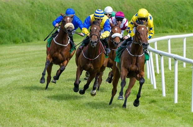 Dubai World Cup Preview & Picks