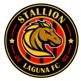 Stallions FC