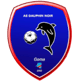 AS Dauphins Noirs