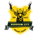 Berekum City