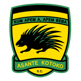 Asante Kotoko FC