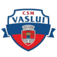 CSM Vaslui
