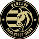Wenzhou FC