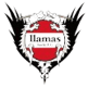Llamas Kochi FC