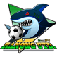 Ranong United FC