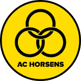 Horsens U19