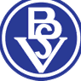 Bremer SV