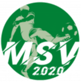 Mattersburger Sportverein 2020