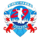 Gio`s Lions SC