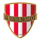 Sokol Brozany