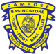 Basingstoke Town