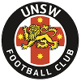 University NSW