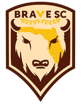 Brave SC
