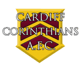 Cardiff Corinthians AFC