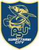Surat Thani City