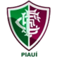 Fluminense PI Youth