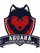 CDSC Aguara