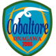 Cobar Torre Onagawa