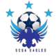 SCSA Eagles