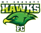Mount Gravatt Hawks