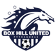 Box Hill(w)