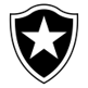 Botafogo Rj Youth