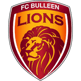 Bulleen Lions(w)