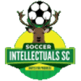Soccer Intellectuals FC