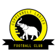 Copper Belts FC(w)