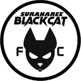Suranaree Black Cat