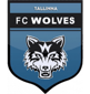 Tallinna Wolves
