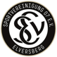 SV Elversberg II