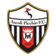 Ascoli Youth