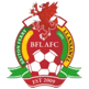 Briton Ferry Llansawel AFC