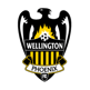 Wellington Phoenix Reserve