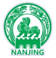 Nanjing Team