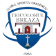 CS Tricolorul Breaza