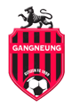 Gangneung Citizen