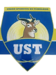 US Tchologo