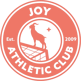 Joy AC (W)
